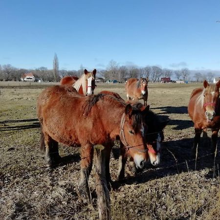 Domek Letniskowy Szuwarek Villa Świnoujście Exteriör bild